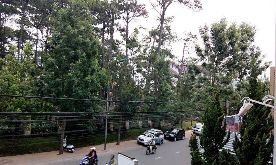 Trang Thanh 2 Guest House Dalat Bagian luar foto